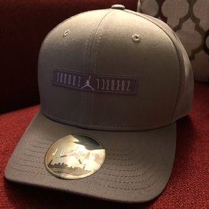 Jordan retro 11s Cap Cool Gray